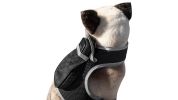 Realtime Pet Dog Tracking Collar Clip Device + GPS GSM Tracking System Size:M